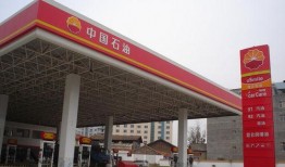 武汉加油站爆料视频最新,揭秘油品质量与价格疑云